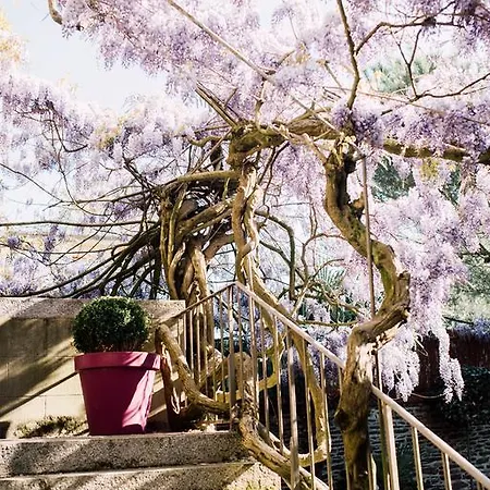 Castel Jolly Bed & Breakfast Rennes